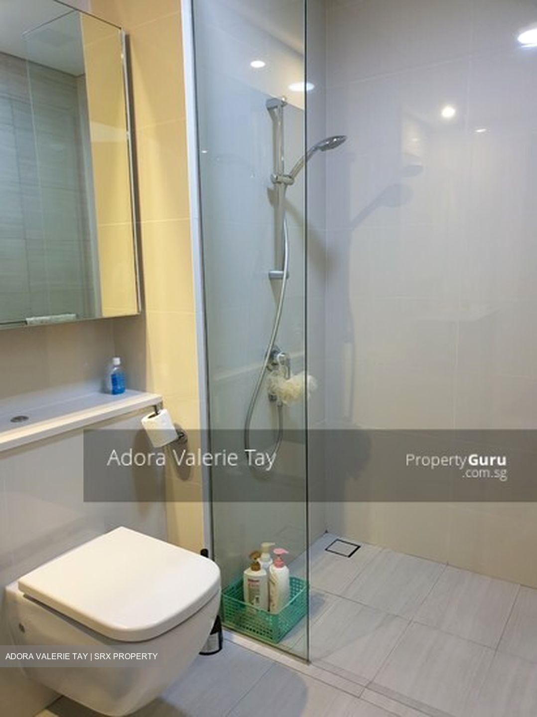 Lakeville (D22), Condominium #629354001